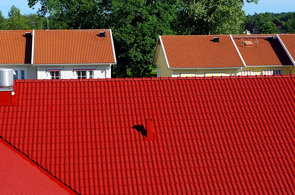 Före och efter takmålning